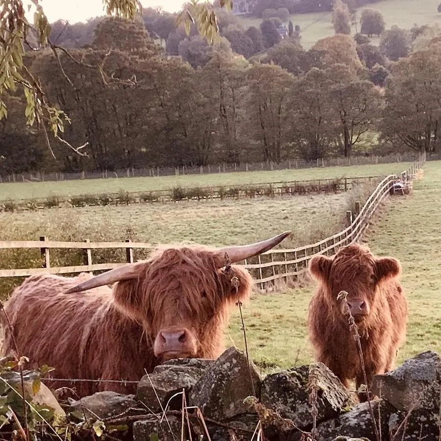 فيلا Nidd House Farm هاروغايت بيت للعطل